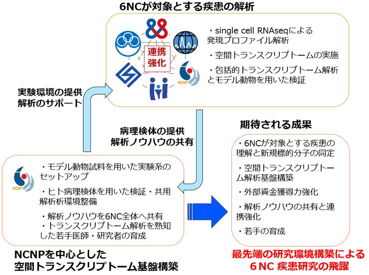 研究のイメージ図