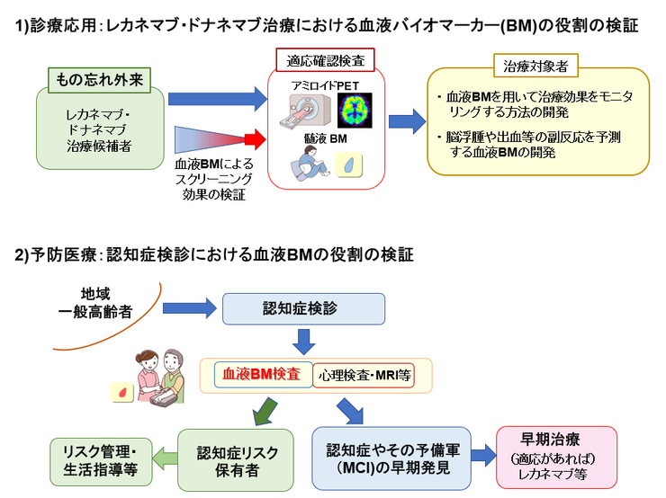 研究のイメージ図