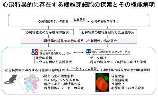 yoshida-01.jpg