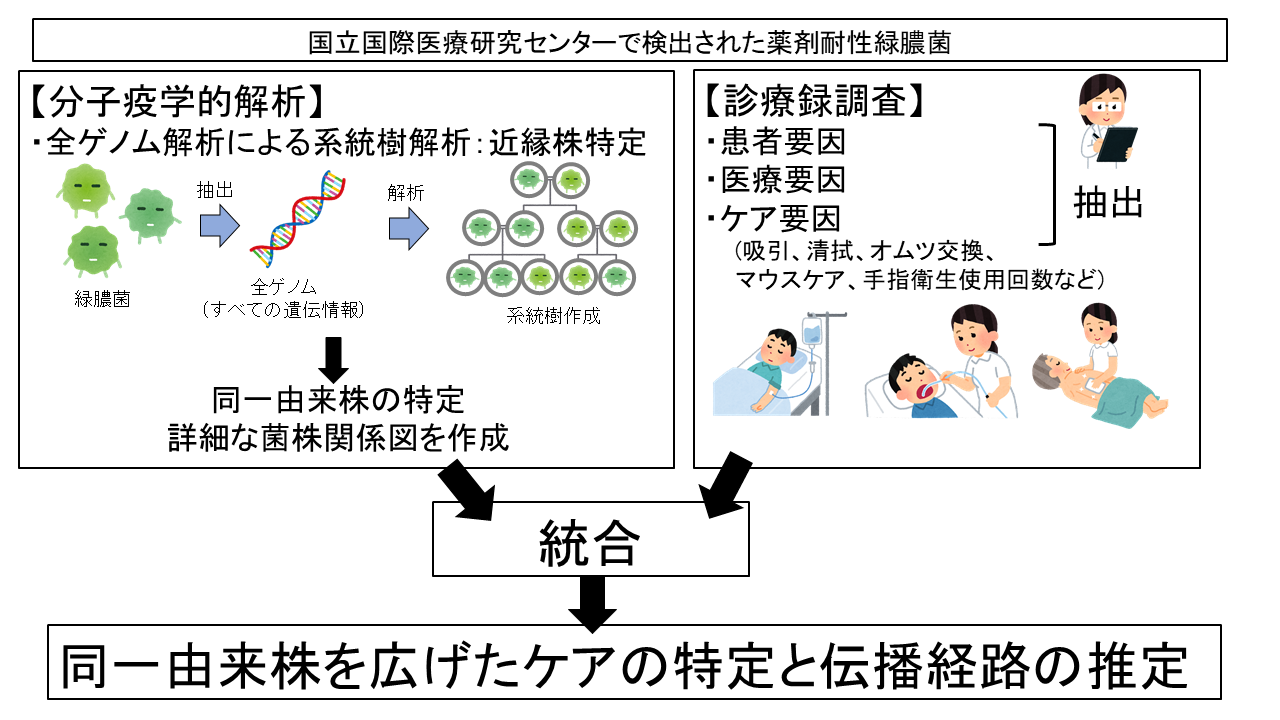 研究のイメージ図_日.PNG